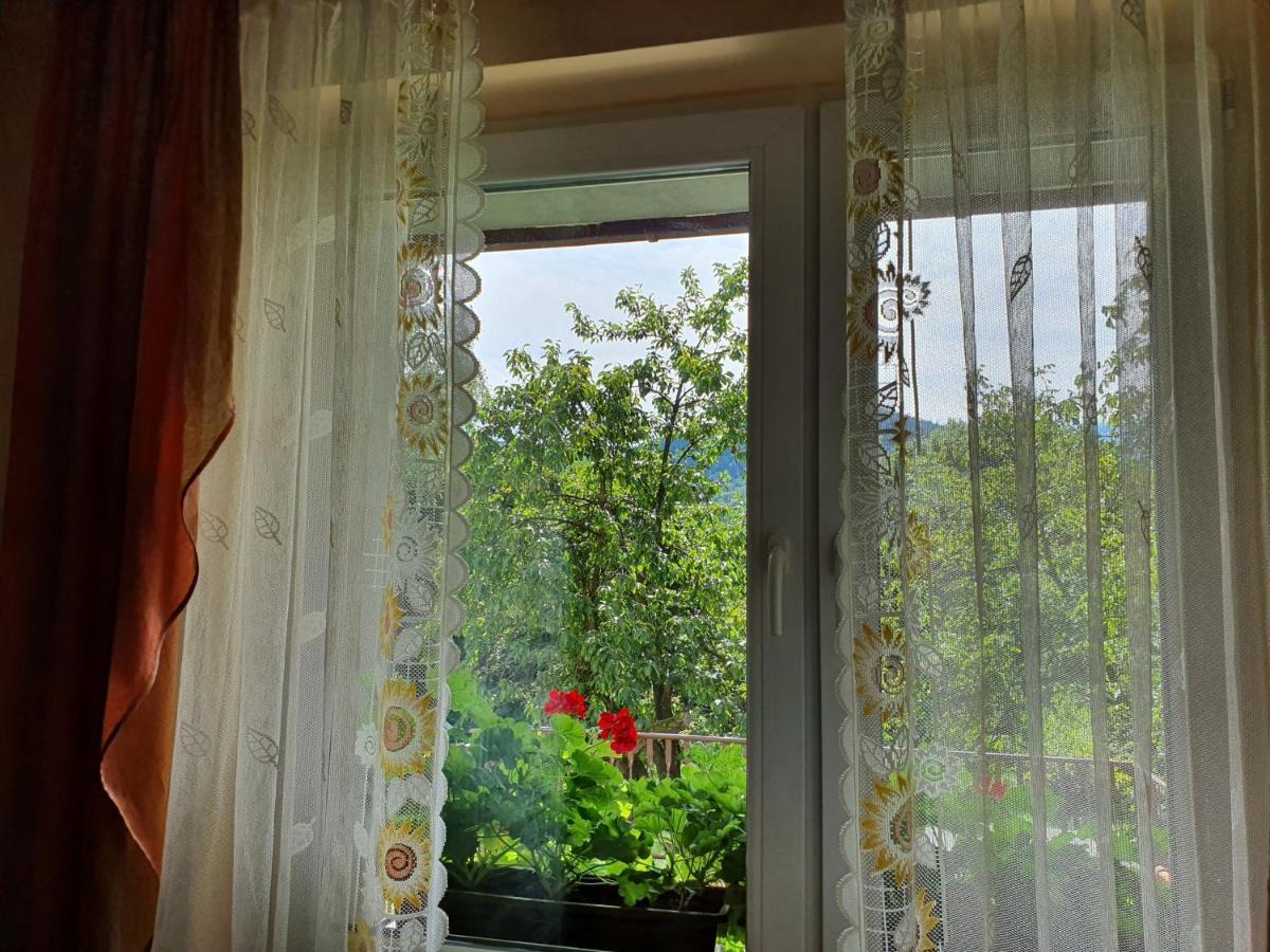 Apartamenty Straconka ,Bielsko-Biala Bagian luar foto