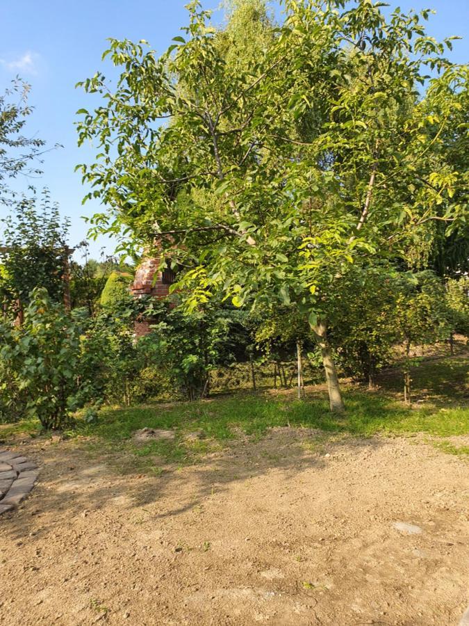 Apartamenty Straconka ,Bielsko-Biala Bagian luar foto
